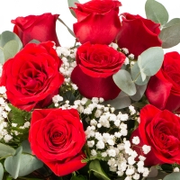 Buchet 13 trandafiri rosii cu gipsofila 4